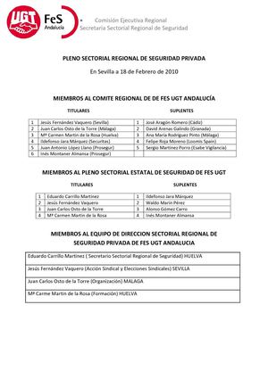 Pleno Sectorial Regional de Seguridad Privada de FeS UGT Andalucia