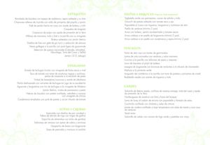 Carta 2010
