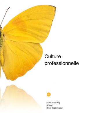 Modèle de Portfolio d'Activités Professionnelles