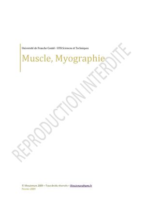 Muscle, myographie