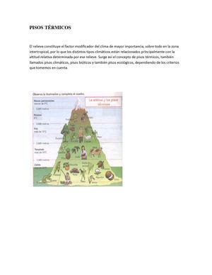 PISOS TERMICOS 