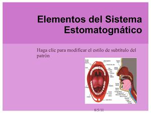 elementos del sistema estomatognatico