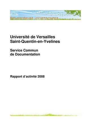 Rapport d'activité 2008