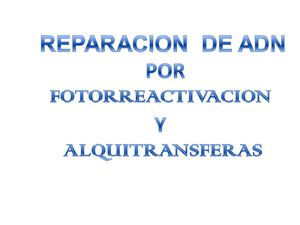 Bioquímica - Clase 08