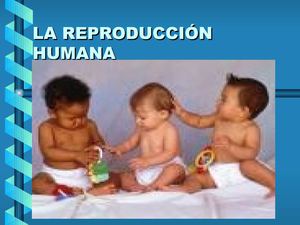 Aparato reproductor masculino y femenino