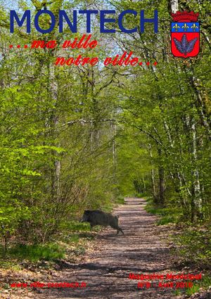 Magazine Municipal N°8 Montech...ma ville