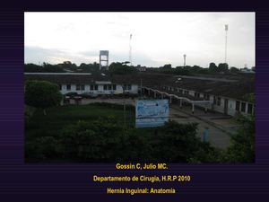 Anatomia de la region Inguinal