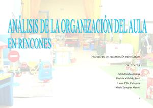 ANÁLISIS DE LA ORGANIZACIÓN DEL AULA EN RINCONES