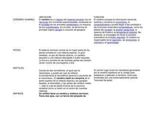 cerebro