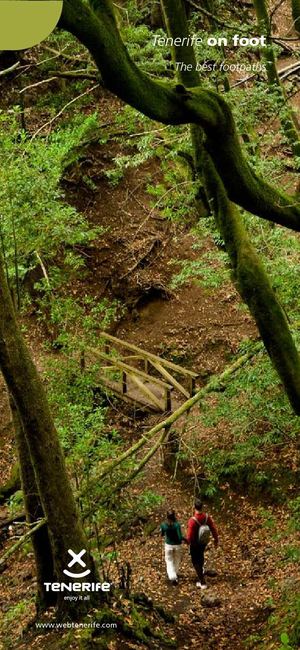 Tenerife on foot