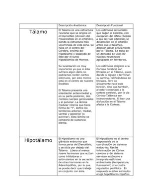 Funciones Cerebro Interno