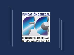 Pruebas de Rendimiento