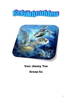 Werkstuk Jimmy - Schildpadden