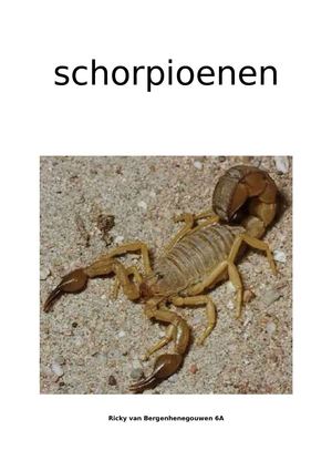 Werkstuk Ricky - Schorpioenen