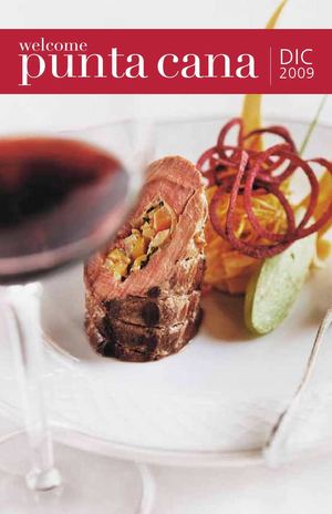 Punta Cana Guide 2009