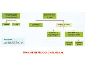TEMA_10. REPRODUCCION ANIMAL