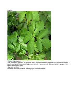 sciroppo,combinazioni frutta e erbe