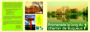 Promenade le long du chemin de Buqueux