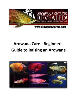 Arowana Care - Beginner’s Guide to Raising an Arowana