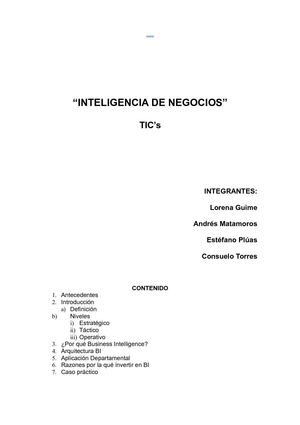 Inteligencia de Negocios