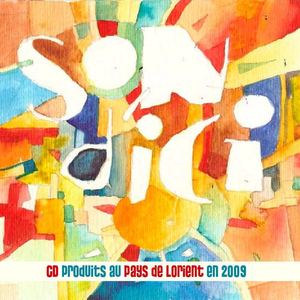 CD produits au Pays de Lorient en 2009