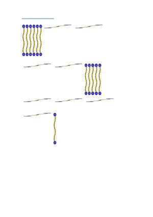mercado nacional, regional y global