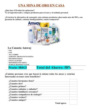 Ejemplo de miniplan de negocio Amway