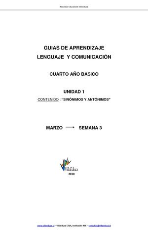 sinonimos y antonimos