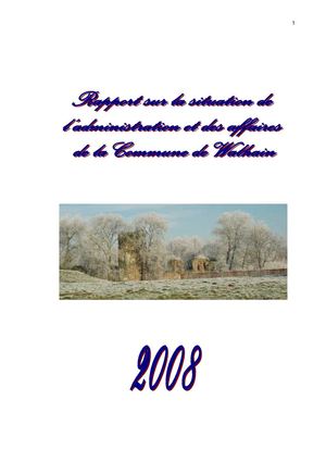 rapport annuel 2008
