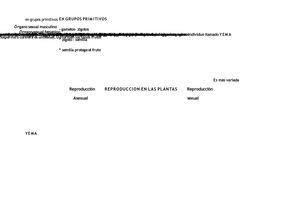MAPA MENTAL SOBRE REPRODUCCION SEXUAL Y ASEXUAL EN LAS PLANTAS 