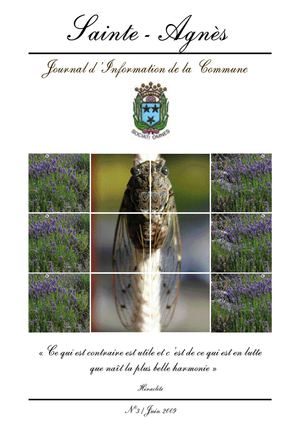 journalStAgnes3