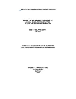 PRODUCCION Y FABRICACION VINO DE CIRUELA 