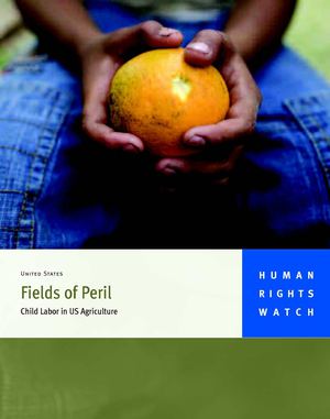 "Fields of Peril" Report from Human Rights Watch (May 2010)