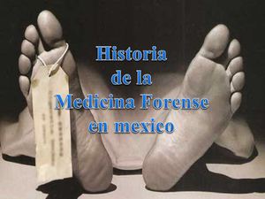 medicina forense