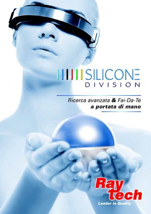SiliconDivision migliore risoluzione