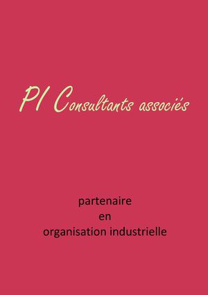 Plaquette PI Consultants associés