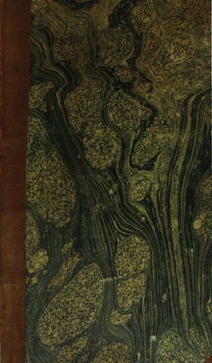 Die Geschichte der Assassinen aus morgenländischen Quellen