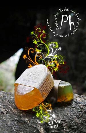 BROCHURE DE PROYECTO OBTENNCION DE SAPONINAS VEGETALES