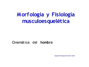 cinematica del hombro