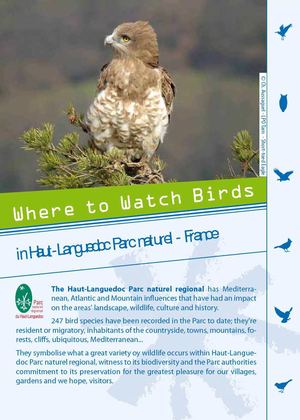 Parc naturel régional du Haut-Languedoc - Where to watch birds