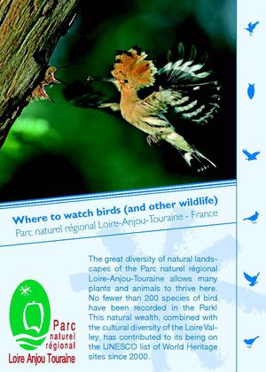 Parc naturel regional Loire Anjou Touraine - Where to see birds
