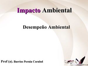 Desempeño Ambiental