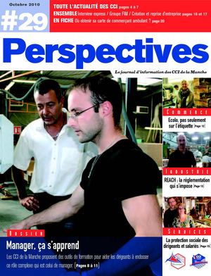 Perspectives n°29