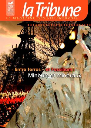 Novembre 2010 - la Tribune, le magazine des Villeneuvois
