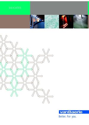 vanBaerle AG Silicates EN