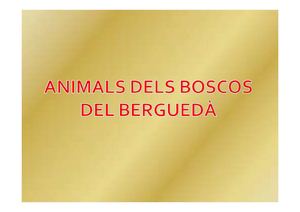 Els animals dels boscos del Berguedà