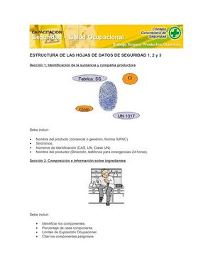 Estructura de las Hojas de Seguridad 1, 2 y 3