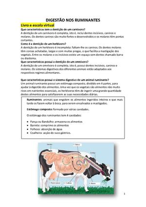 digestao_ruminantes_aves