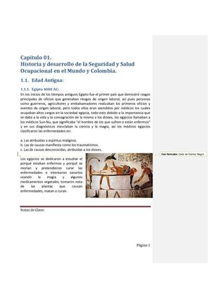Capitulo 1 Historia de la Salud Ocupacional