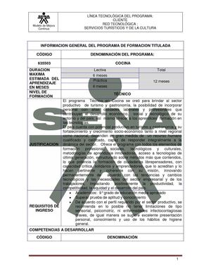Programa Tecnico en Cocina 635503